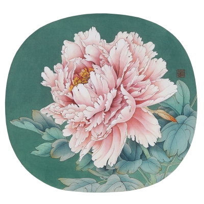 Pink Peony